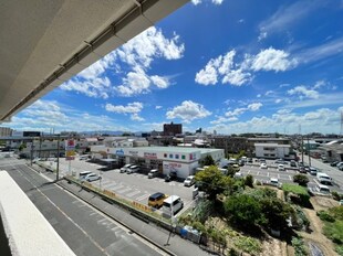 深井駅 徒歩7分 4階の物件内観写真